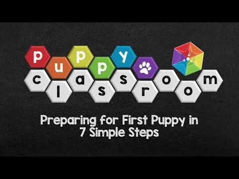 Startle Hyperekplexia (SD)