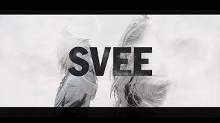 Musik-Video-Miniaturansicht zu From Sex to Love Songtext von Svee