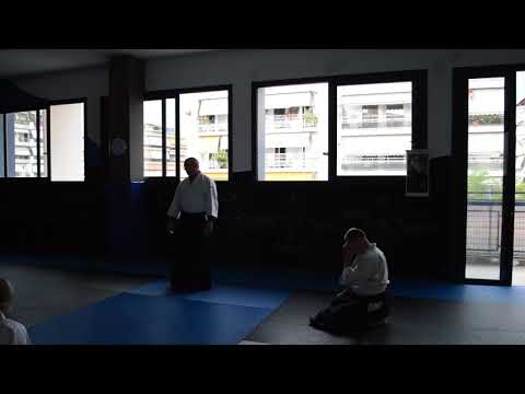 Shane Riley Shihan, Athens 2018 - Discussion about Aikido and seminar roundup