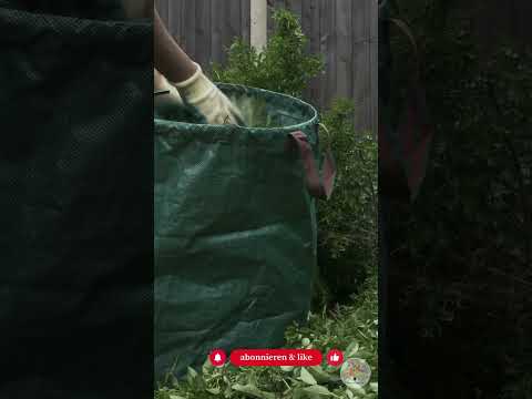 Hecke schneiden ab 1. Oktober: Was jetzt erlaubt ist – und was verboten bleibt