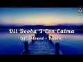 Dil Dooba X Con Calma Lofi {Slowed+Reverb} | Lofi With Bass