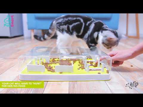 Cat Puzzle Feeder