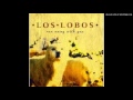 Los Lobos - Run away with you