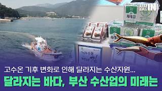 [부산MBC] 달라지는 바다, 부산 수산업의 미래는