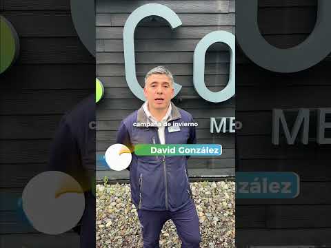 Boletín Maule | Noticias que Transforman
