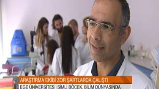 Böceğe "Ege Üniversitesi" ismi verildi