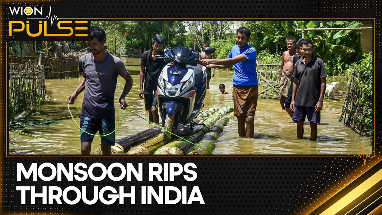 Assam Floods: Over 6.5 Lakh Affected; Death Toll Rises to 66 | WION Pulse