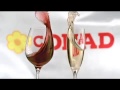 Conad Spot Commercial 2011 Le Imperdibili