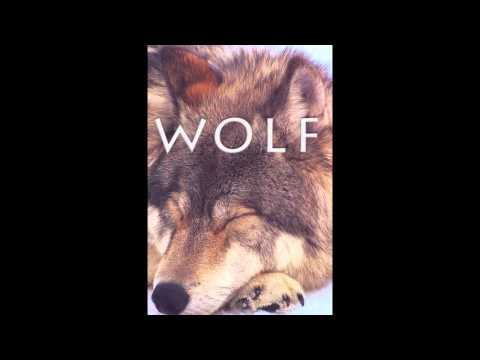 sweet wolf video