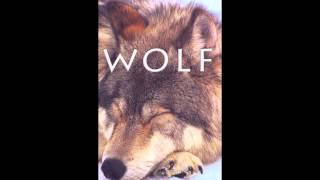 sweet wolf video