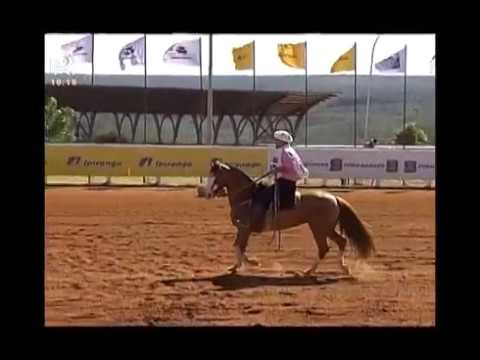 Aberta Brasília – 3° lugar fêmeas – El Barquero 04 Patagonia