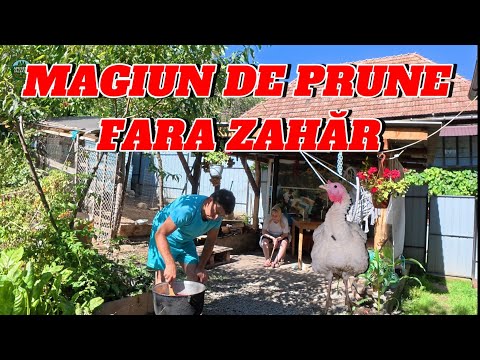 AUTUMN IN THE WEST 🍁 WE MAKE TRADITIONAL PLUM MAGIUN WITHOUT SUGAR | EP. 60