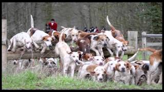 The Mountain Goats - Choked Out (Second Photo Montage)