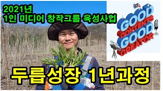 1인미디어창작그룹육성사업 / 농부의 반려식물 참두릅 / 과학기술정보통신부 / 한국전파진흥협회