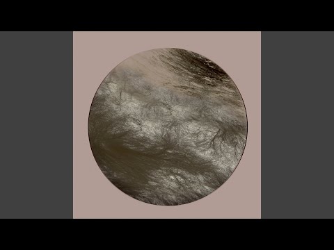 Flesh Of The Gods (Dino Sabatini Remix)