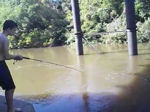 dorado en itapebi maropez