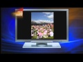 Avon Walk For Breast Cancer Rocky Mountains