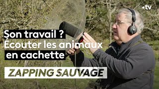 Son travail ? Écouter les animaux en cachette - ZAPPING SAUVAGE