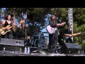 The Mighty Cash Cats – Johnny Cash Show