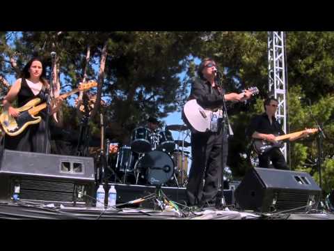 The Mighty Cash Cats – Johnny Cash Show video