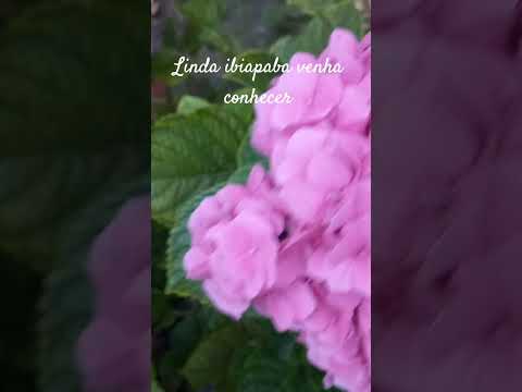 linda princesa dá ibiapaba Ubajara-Ce