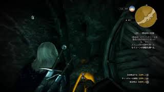 [ウィッチャー3]次世代機版じゃないPS4版で続き