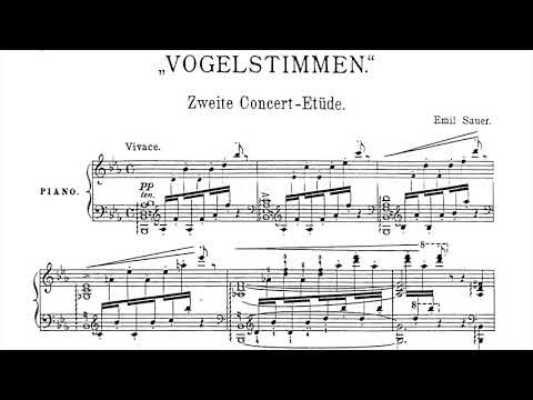[Emil von Sauer] Etudes de Concert No.1-10 (Score-Video)
