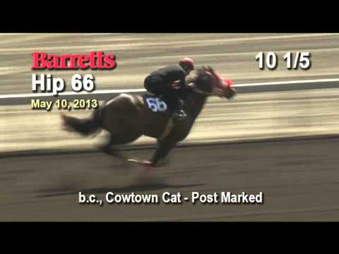 Nickajack / rey de oros