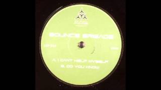 [DONK] Bounce Brigade - I Can't Help Myself