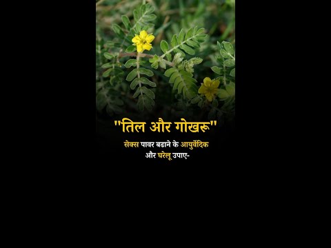 Ayurvedic and Home Remedies to increase Sex Power: Sesame and Bun #sexpower #sexpowerment #stamina