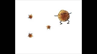 Cover art for I’m a pancake