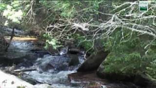 Kanjonom Samokovke _ part 1.avi