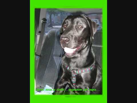 "Piąty element - LILU" / "Fifth element - LILU"