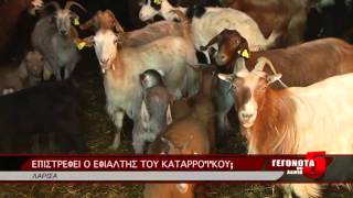 ΕΠΙΣΤΡΕΦΕΙ Ο ΕΦΙΑΛΤΗΣ ΤΟΥ ΚΑΤΑΡΡΟΪΚΟΥ;