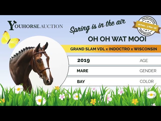 Oh Oh wat Mooi showvideo