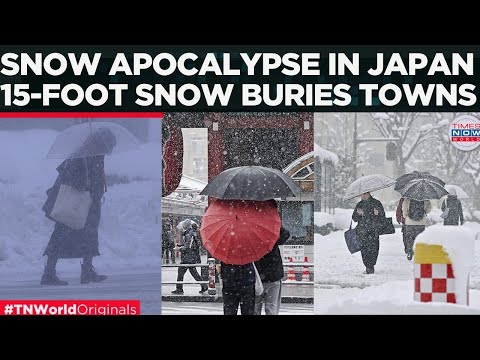TOTAL CHAOS IN JAPAN: Heavy Snow Buries Hachiko, Snowstorm Brings Tokyo to a Standstill | World News