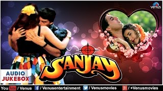 Download lagu Sanjay Audio Jukebox Full Hindi Songs Ayub Khan Sk... mp3