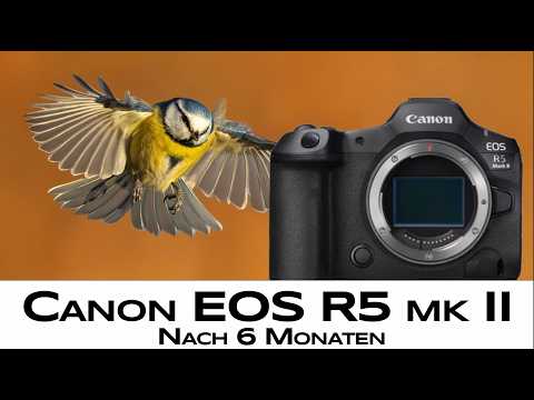 Canon EOS R5 mark II vs. R5 mk I - Long-term test animal photography with @FabianFoppNaturfotografie