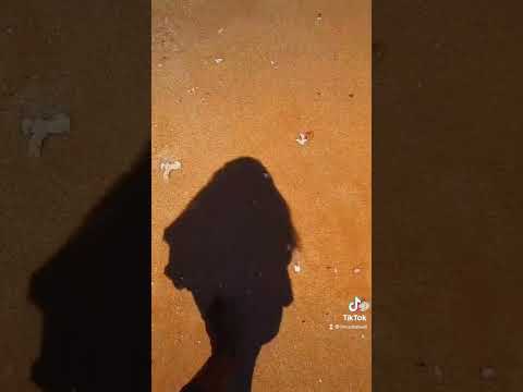 Life is a beach 🌊🏝