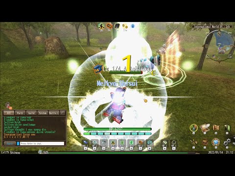 Toram Online   My Knuckle Priest(Nemesis)