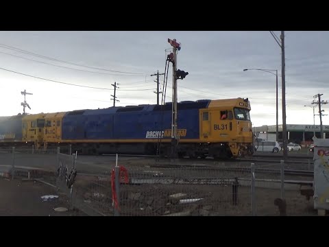 Pacific National BL31, BL26 On SG Grain At North Geelong C Box