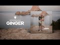 Boris Brejcha Ginger