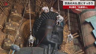 【速報】奈良の大仏、夏にすっきり 年1度の「お身拭い」