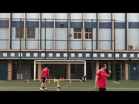 Goalkeeper Training (pharaohs)