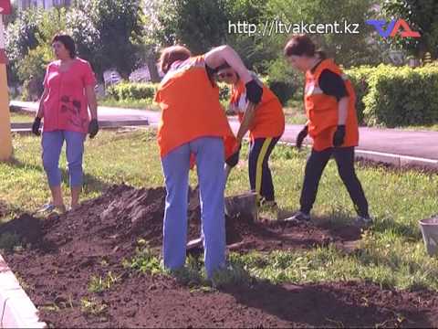 Выпуск программы «День» от 27 июля 2017г.