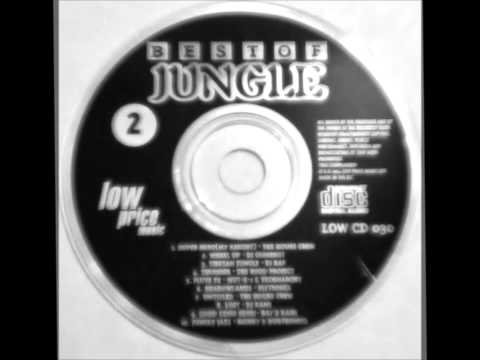 Dubtronic & Money - Jungle Jazz