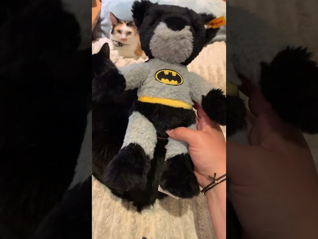 Vídeo relacionado con Steiff Batman - Oso de Peluche (29 cm, Apto para Lavadora), diseño de Batman