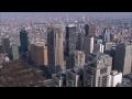 Hypnagogia Over Tokyo