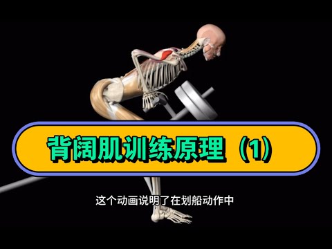知其然更要知其所以然