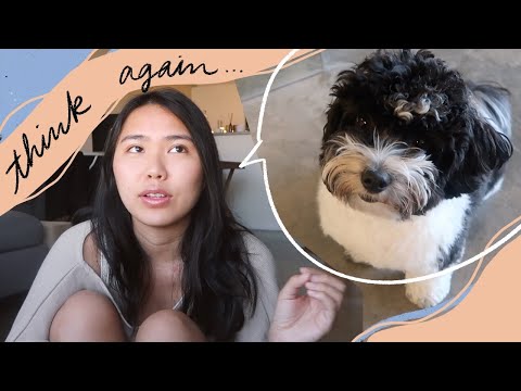GETTING A DOG IN YOUR 20's | what they don't tell you